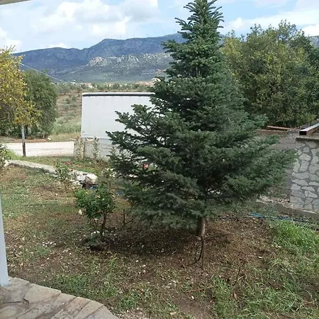 Agrotospito “elatos” *
