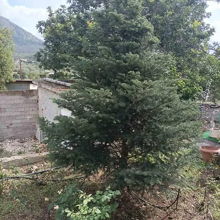 Agrotospito “elatos” Dom wakacyjny